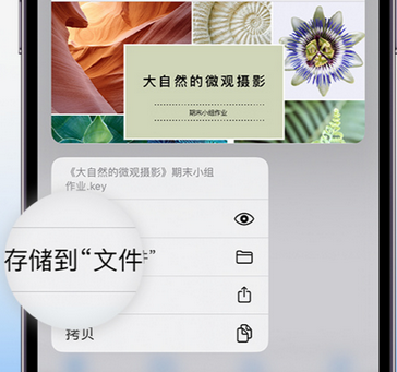 高邑apple维修中心分享iPhone文件应用中存储和找到下载文件