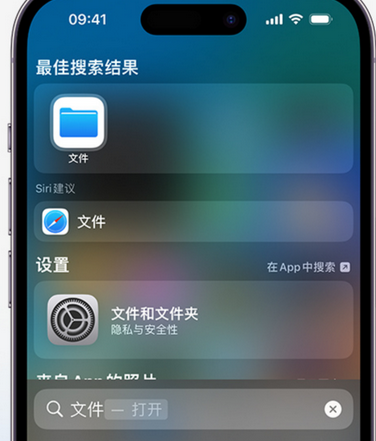 高邑apple维修中心分享iPhone文件应用中存储和找到下载文件