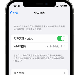 高邑apple服务站点分享iPhone上个人热点丢失了怎么办 