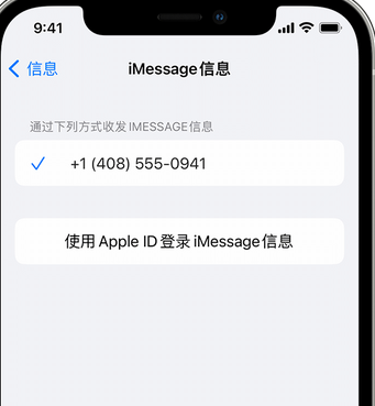 高邑apple维修iPhone上无法正常发送iMessage信息 