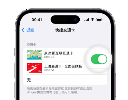 高邑apple维修点分享iPhone上更换Apple Pay快捷交通卡手绘卡面 