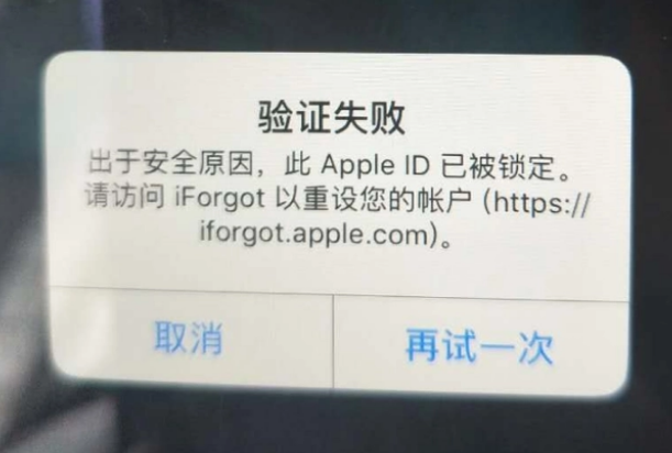 高邑iPhone维修分享iPhone上正常登录或使用AppleID怎么办 