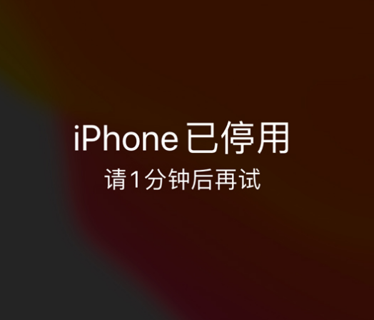 高邑苹果手机维修分享:iPhone 显示“不可用”或“已停用”怎么办？还能保留数据吗？ 