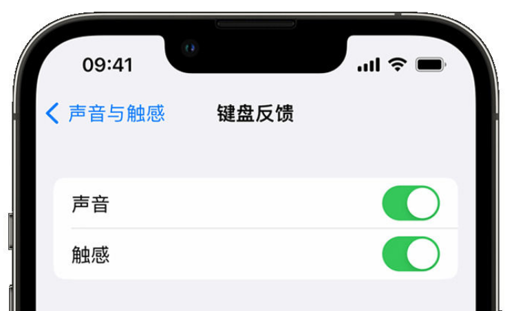 高邑苹果手机维修分享iPhone 14触感键盘使用方法 