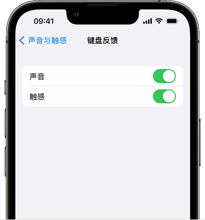 高邑苹果14维修店分享如何在 iPhone 14 机型中使用触感键盘 