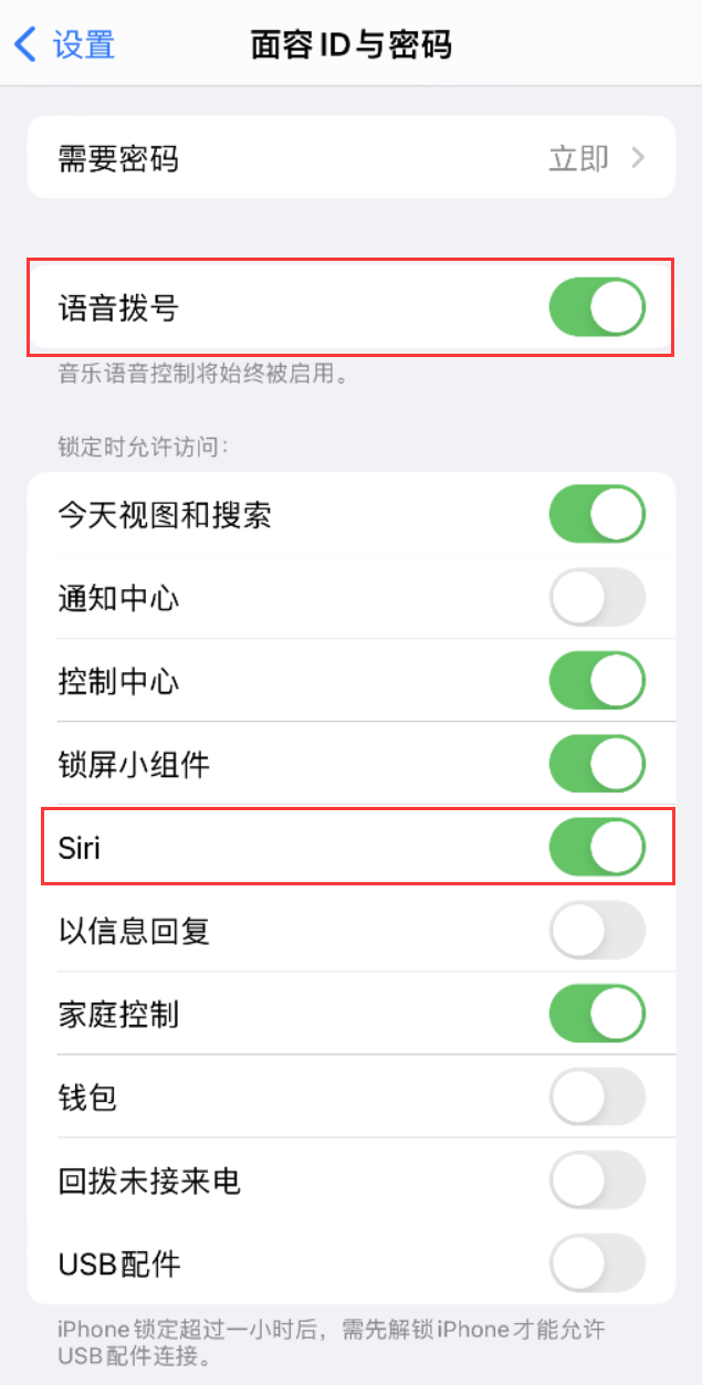 高邑苹果维修网点分享不解锁 iPhone 的情况下通过 Siri 拨打电话的方法 