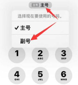 高邑苹果14维修店分享iPhone 14 Pro Max使用副卡打电话的方法 