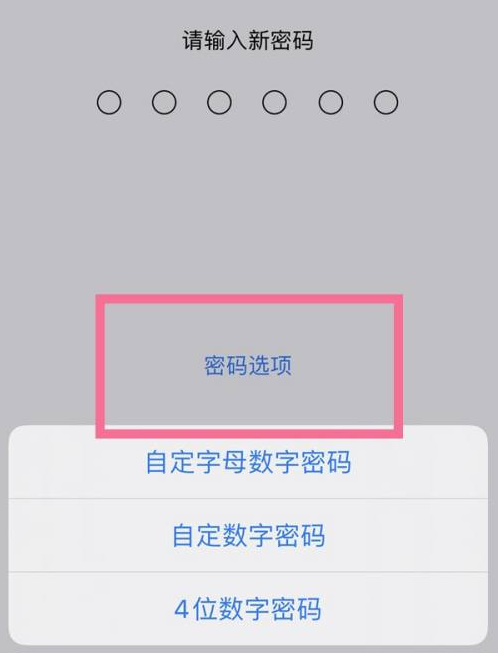 高邑苹果14维修分享iPhone 14plus设置密码的方法 