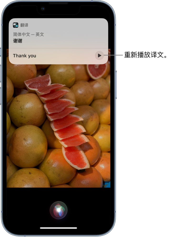 高邑苹果14维修分享 iPhone 14 机型中使用 Siri：了解 Siri 能帮你做什么 