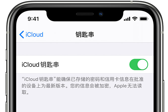 高邑苹果手机维修分享在 iPhone 上开启 iCloud 钥匙串之后会储存哪些信息 