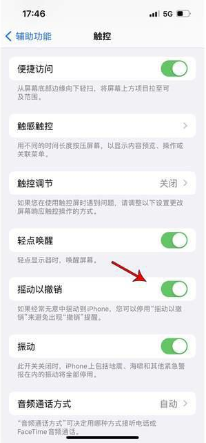 高邑苹果手机维修分享iPhone手机如何设置摇一摇删除文字 