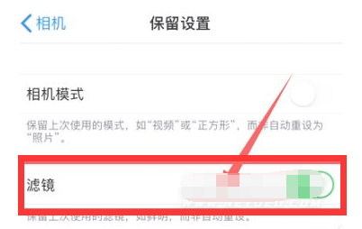 高邑苹果13维修分享iPhone13拍照有绿点是怎么回事 