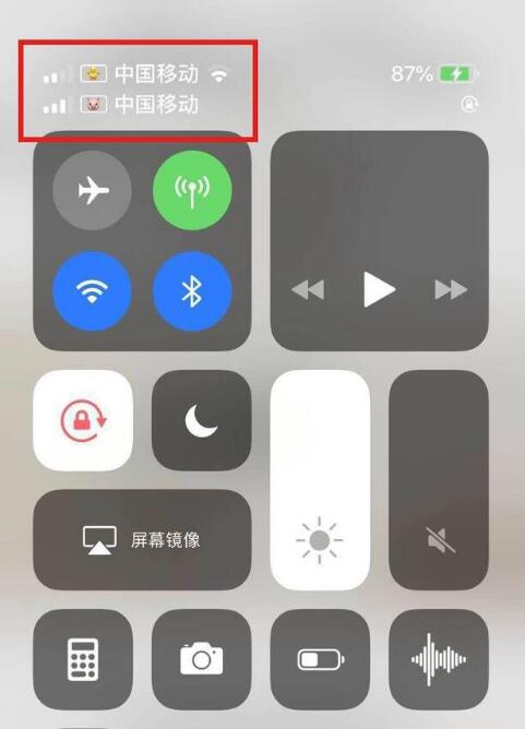 高邑苹果手机维修分享为 iPhone 12 双卡设置标签 